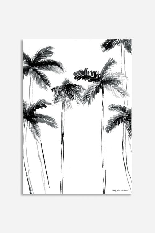 Miami Beach