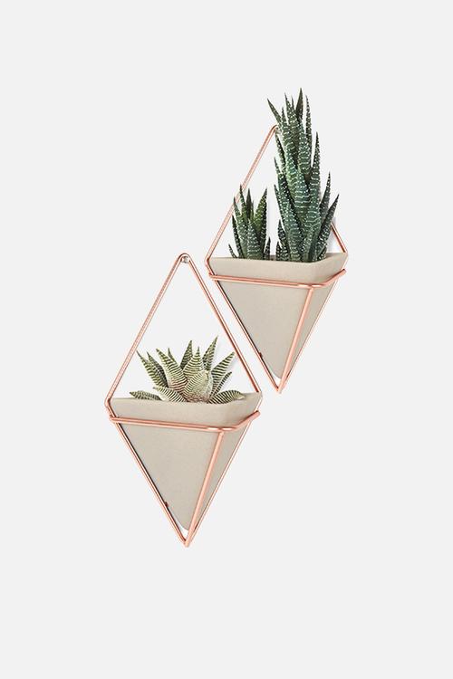 Trigg Wall Vessel Set of 2