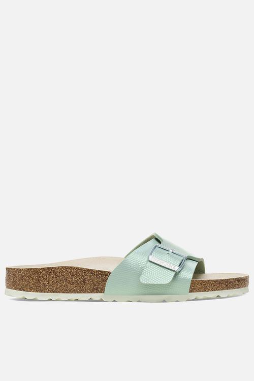Catalina shiny lizard narrow - surf green