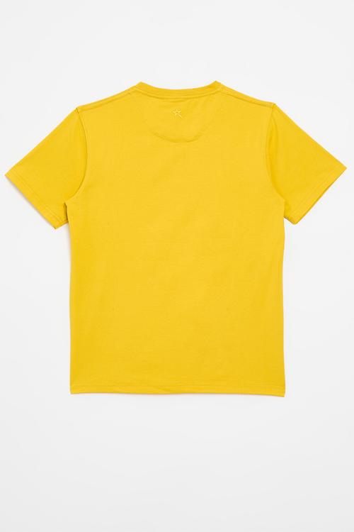 Boys fashion tee - mustard2