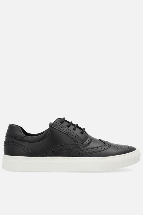 The ted - black