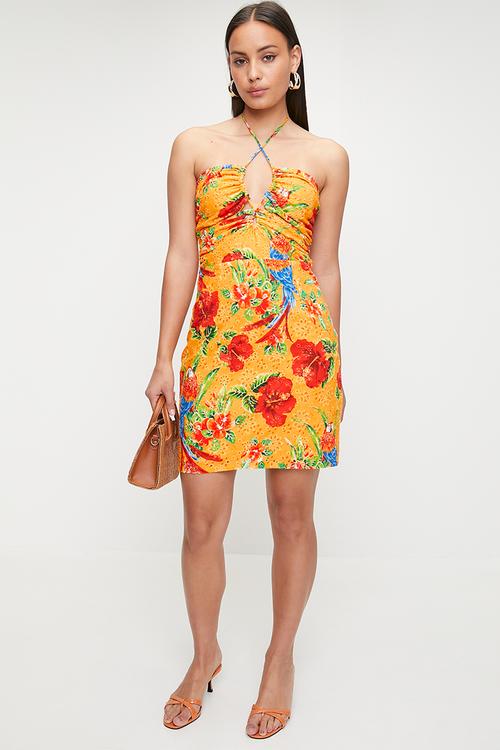 SL Tina Dress - Parrot Paradise Print