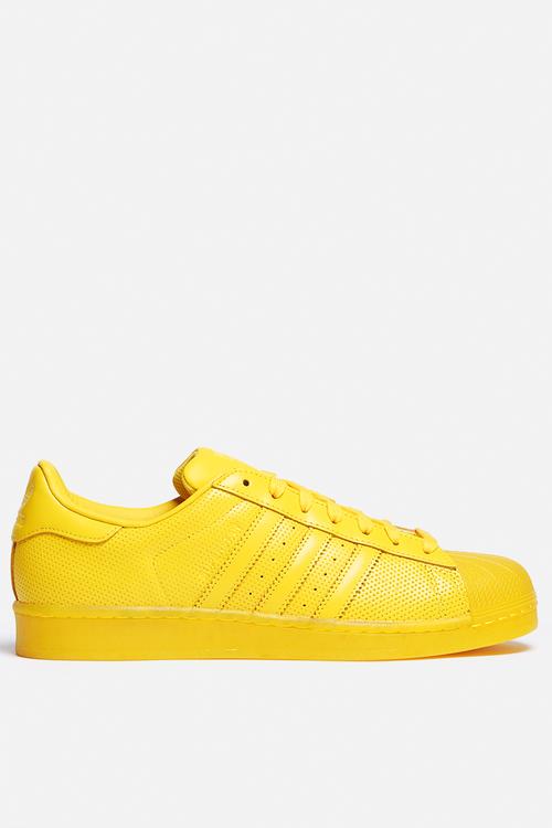 Superstar ADICOLOR