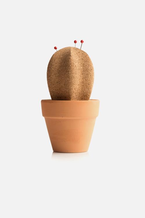 Cork cactus