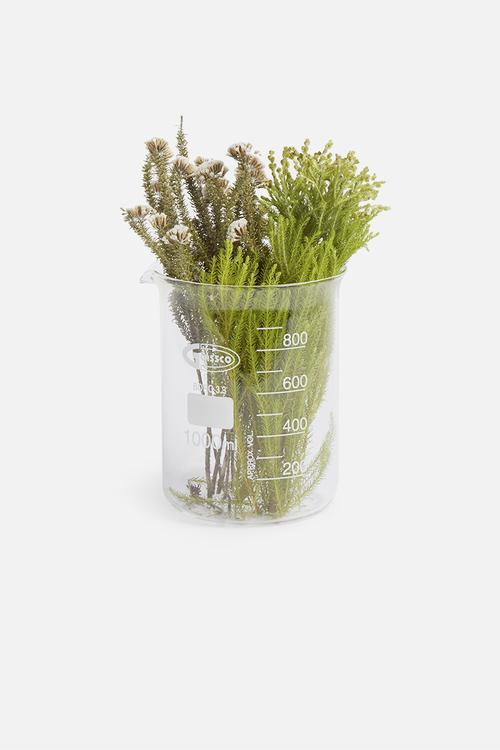 Low form beaker 