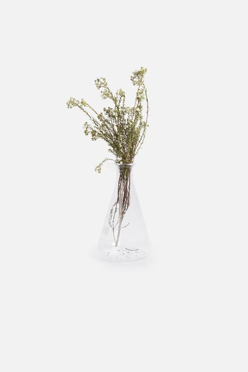 Narrow neck erlenmeyer flask 