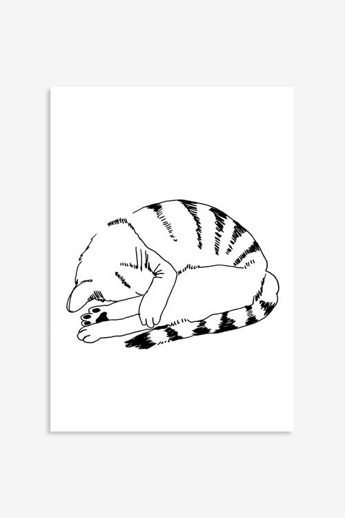 Bird street cat-napping