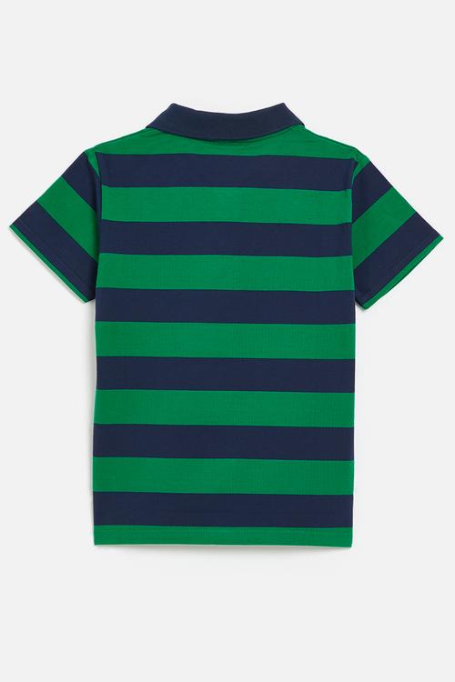 Striped golf shirt-green & navy blue