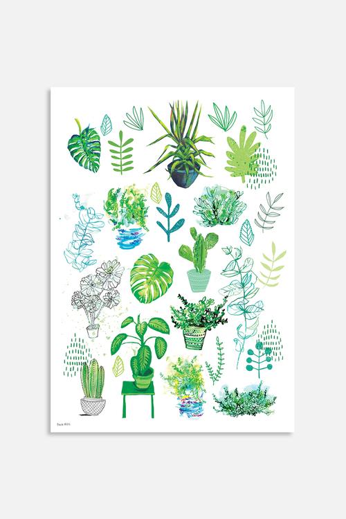 All my plants