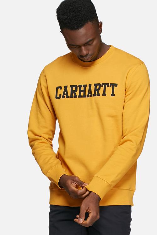 College sweater