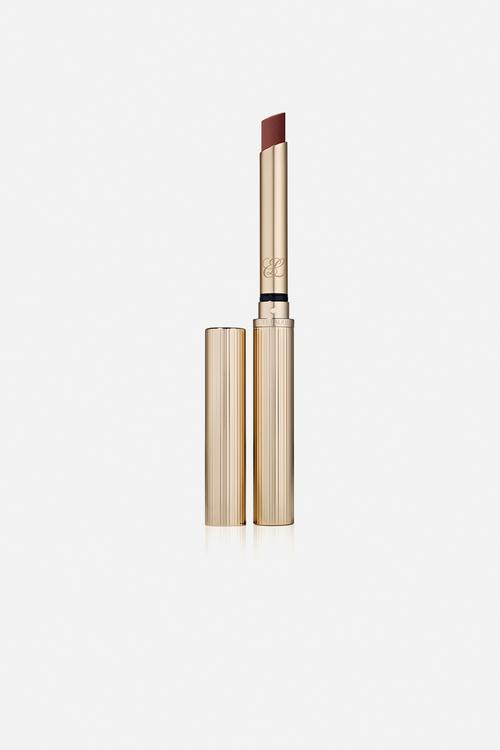 Pure Color Explicit Silk Matte Lipstick - Smokescreen