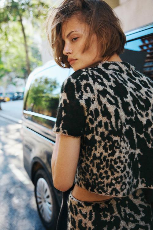Jacquard-knit cardigan - beige & leopard print