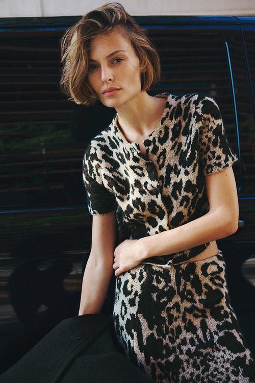 Jacquard-knit cardigan - beige & leopard print