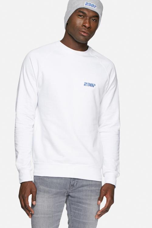 Embroidered Sega crew