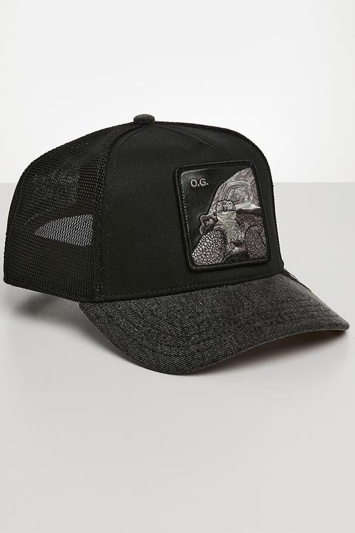 The OG tortoise- black