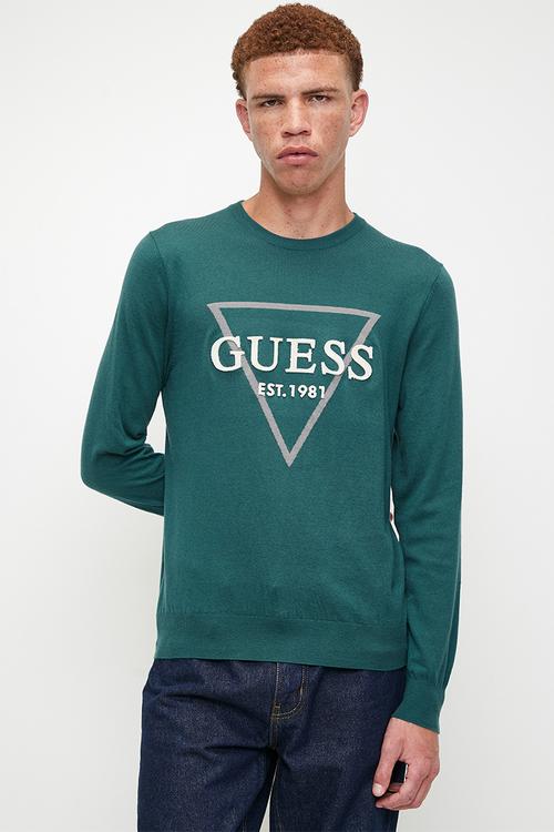 Fabian cn logo swtr - true teal