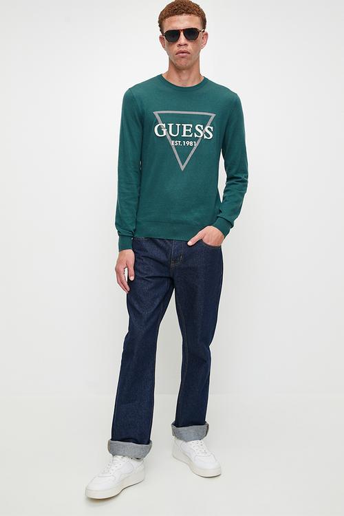 Fabian cn logo swtr - true teal