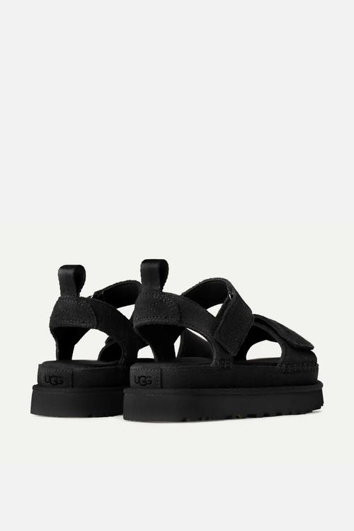 Goldenstar - black
