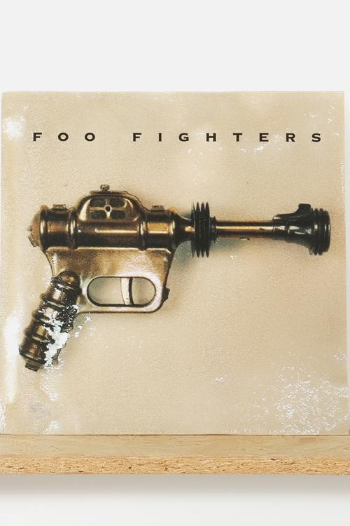 Foo Fighters Vinyl 