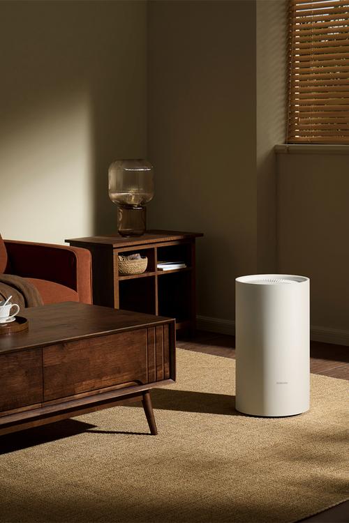 Smart Dehumidifier Lite - White