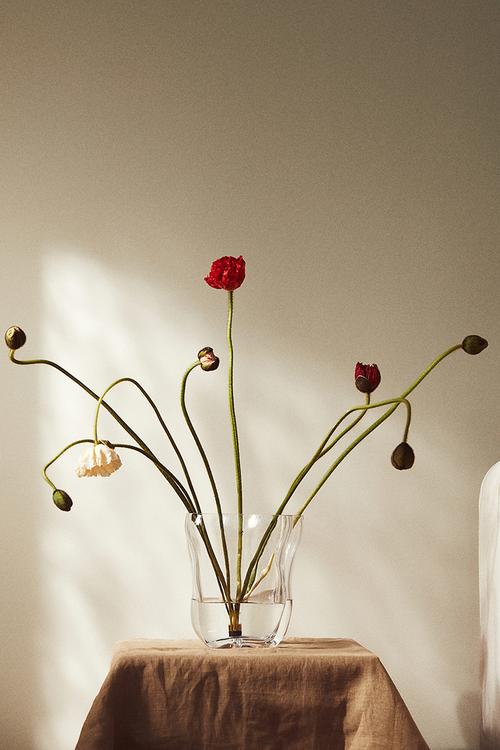 Large glass vase - transparent
