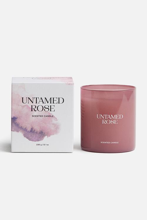 Scented candle in a glass holder - untamed rose