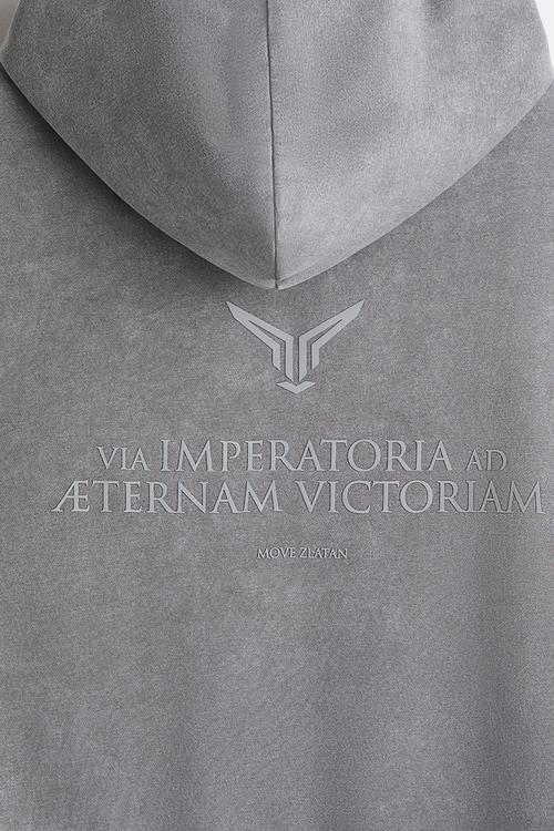Loose fit sleeveless sports hoodie - grey