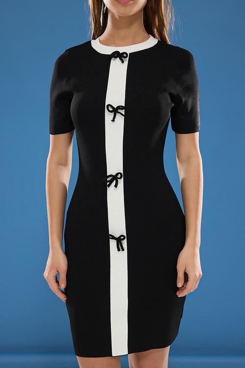 Color Block Mini Stand Collar Ribbon Detail Dress - Black