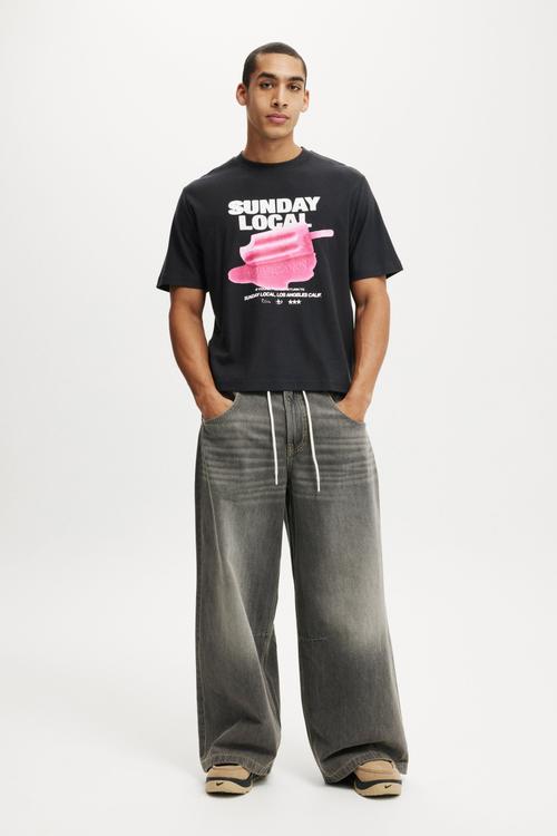 Cropped Fit Graphic T-Shirt - Washed Black/Icy Pole