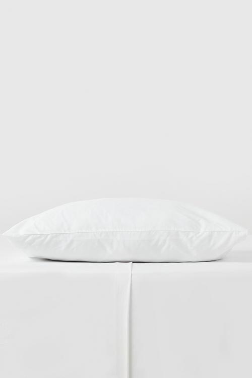200TC King Cotton pillowcase - white