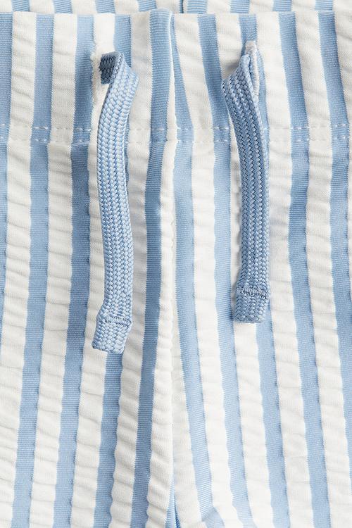 Swimming trunks - blue & white striped