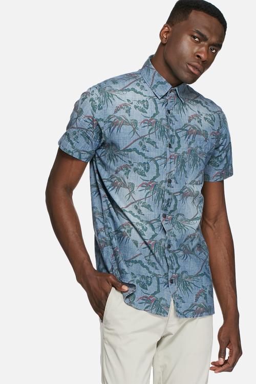 Davis shirt
