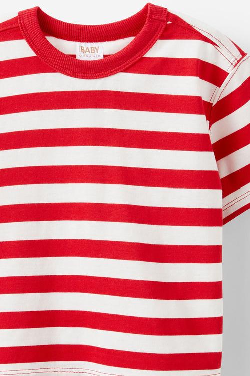 Bobbi short sleeve graphic tee -  vanilla/varsity red stripe