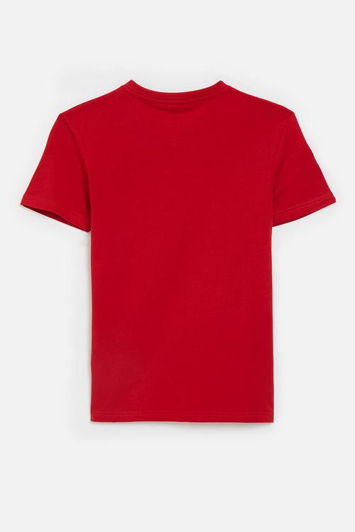 Core boys james v neck tee - red