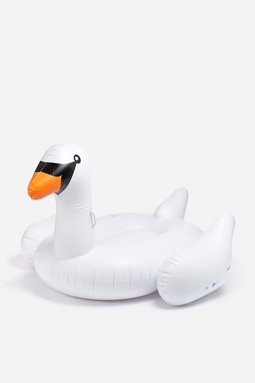 White swan