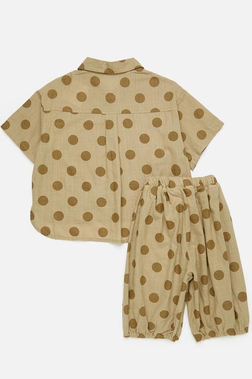 Dolphin hem shirt & shorts set - brown/polka dots