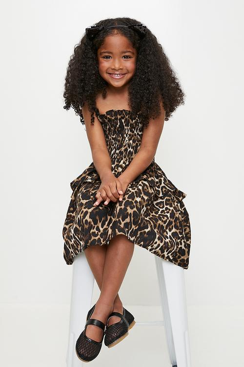 Dropped waist dress with shirred bodice - leopard print