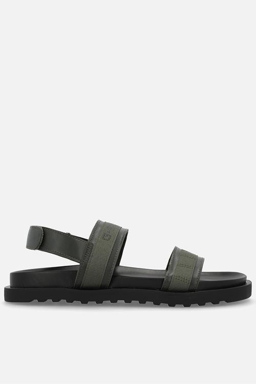 Diesem bsc m - olive