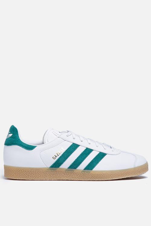 Gazelle