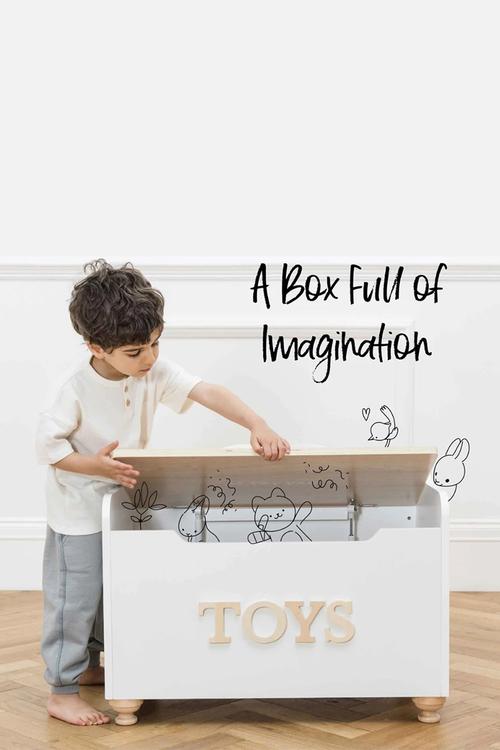 Classic Wooden Toy Chest - multi