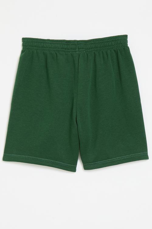 Nike pe french terry reversible shorts - fir