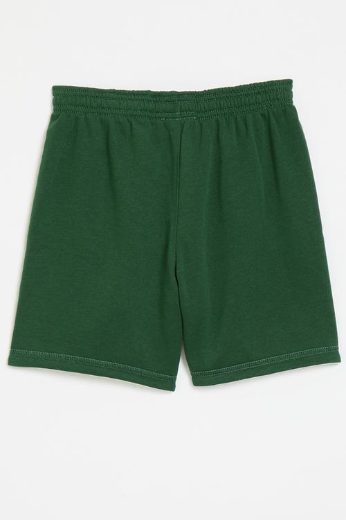 Nike pe french terry reversible shorts - green