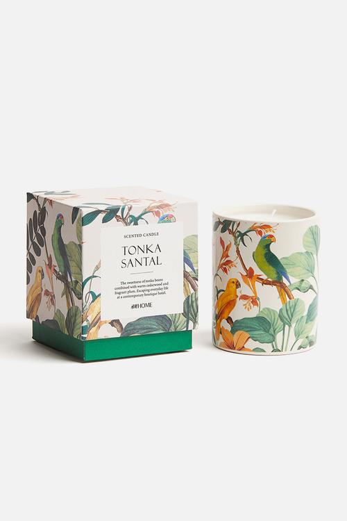 Scented candle in a ceramic holder - tonka santal