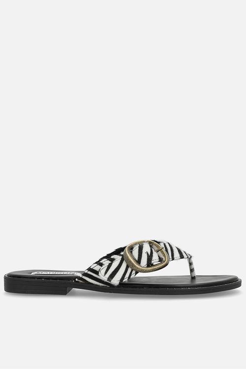 Michelle slide - zebra