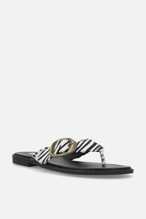 Michelle slide - zebra