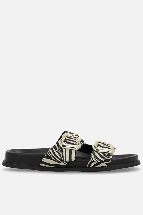 Miller slide - zebra