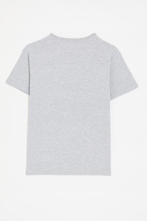 Nasa logo tee - grey/black