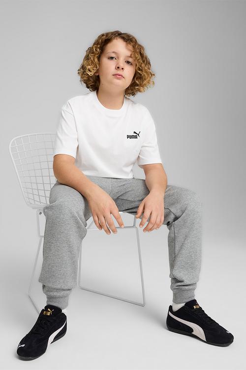 Ess Small No. 1 Logo Relaxed Tee B-Puma White