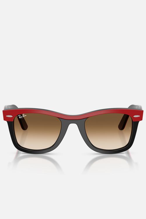 WAYFARER 50MM- Clear Gradient Brown