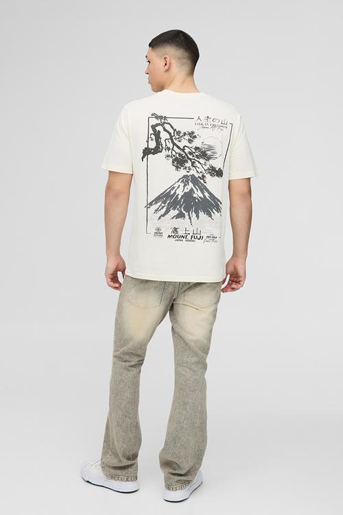 Regular Fit Mountain Graphic T-Shirt - Ecru